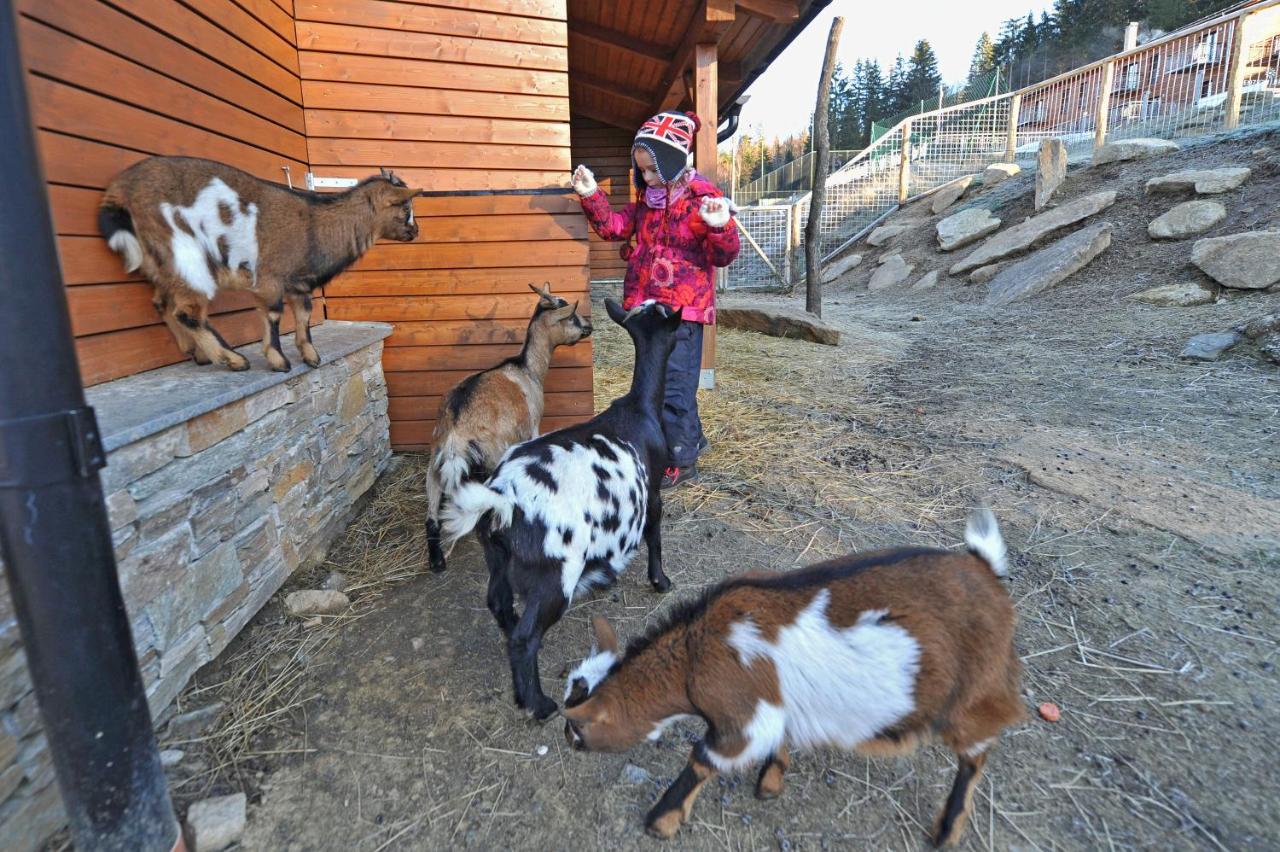 Vetrnik Depandance Hotelu Jirinka Dolní Morava Exterior foto
